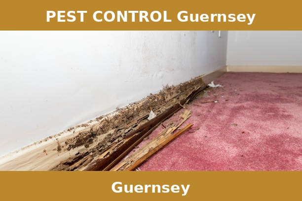 PEST CONTROL Guernsey